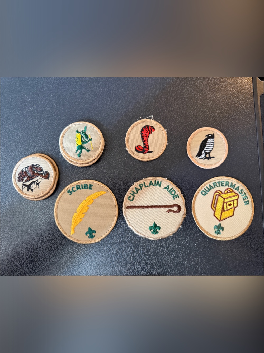 BSA Patrol and Position Patches